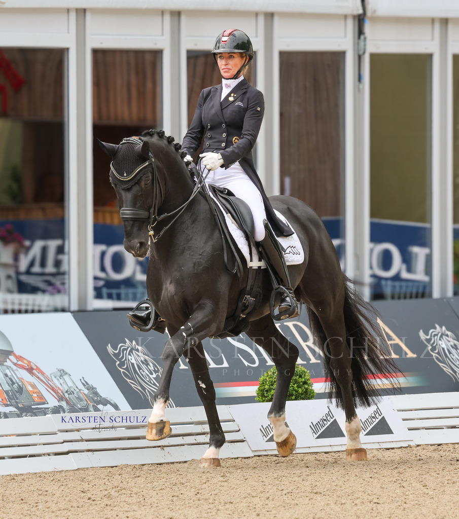 1B3A4009 | Reitsport Reiten