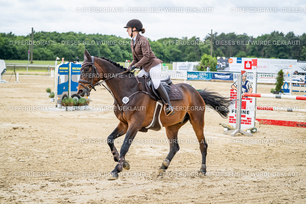 DSC04981 | Pferdegrafie