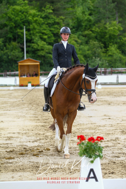 DKP46314 | Turniersportfotografie; Pferdefotografie; Dressurfotografie