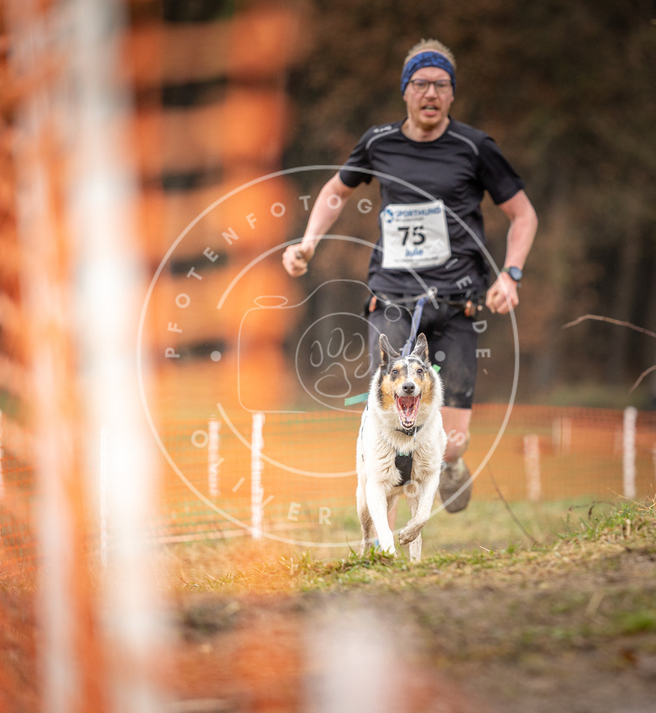 DV3A0256 | Hundefotografie, Tierfotograf, Pfotenfotografie, Fotoshooting Hund, Hunde Portrait, Hundesport, Hundeportraits, Heideshooting, Hunde, Sportfotograf, Hundefotograf, Turnierhundsport, THS,  - Realisiert mit Pictrs.com