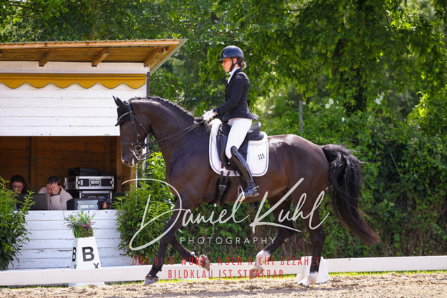 DKP41137 | Turnierfotos kaufen im Webshop von Daniel Kuhl Photography – entdecke professionelle Reitsportfotos aus Turnieren & Events. Hochwertige Turnierbilder online bestellen & sichern. Jetzt Fotos von Reitsportturnieren kaufen!