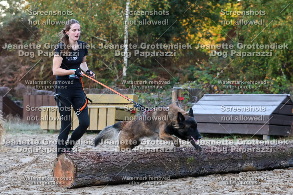 Dog Paparazzi - Strongdog 10-25-71 | Dog Paparazzi Jeanette Grottendiek Fotografie & Videografie - Realisiert mit Pictrs.com