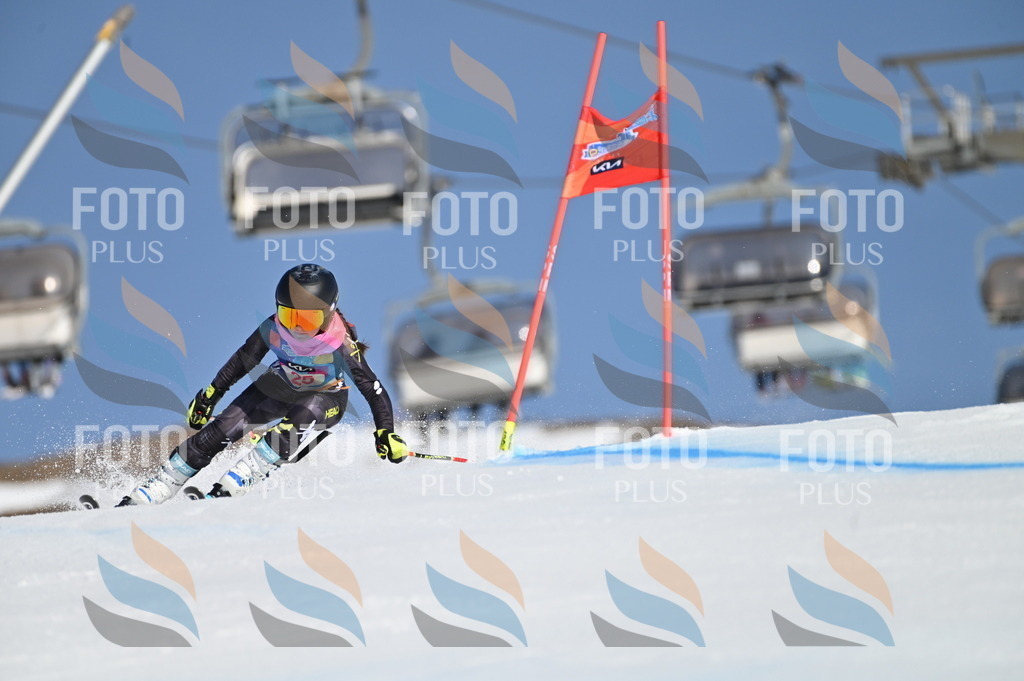 BGV_8033 | holidayphoto