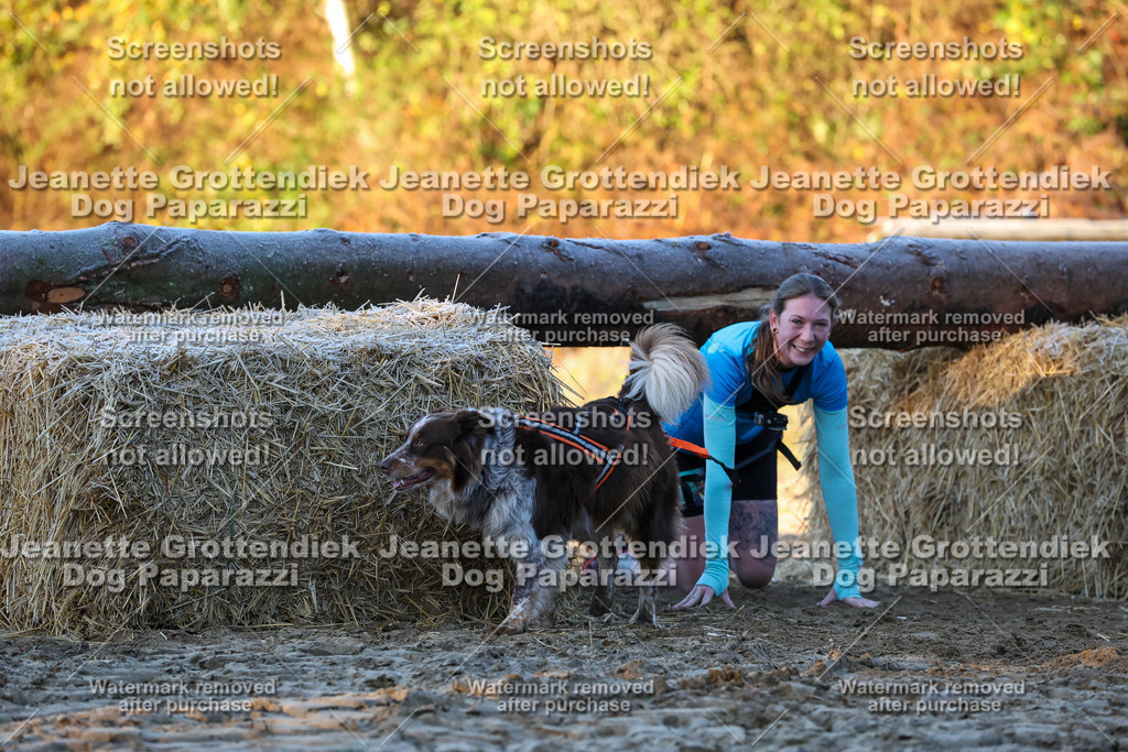 Dog Paparazzi - Strongdog 10-25-524 | Dog Paparazzi Jeanette Grottendiek Fotografie & Videografie - Realisiert mit Pictrs.com