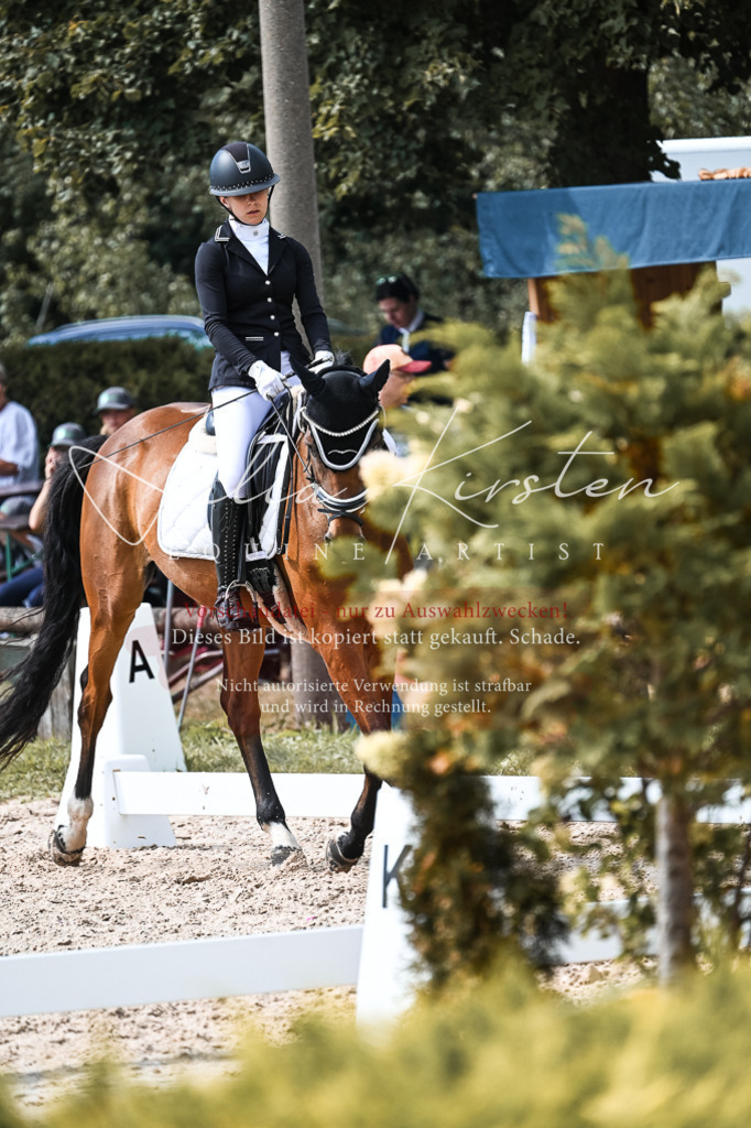 DSC_5141 | Pferde- und Turnierfotografie in Westsachsen. Pferdeportraits, Auftragszeichnungen und intuitive Kunst.