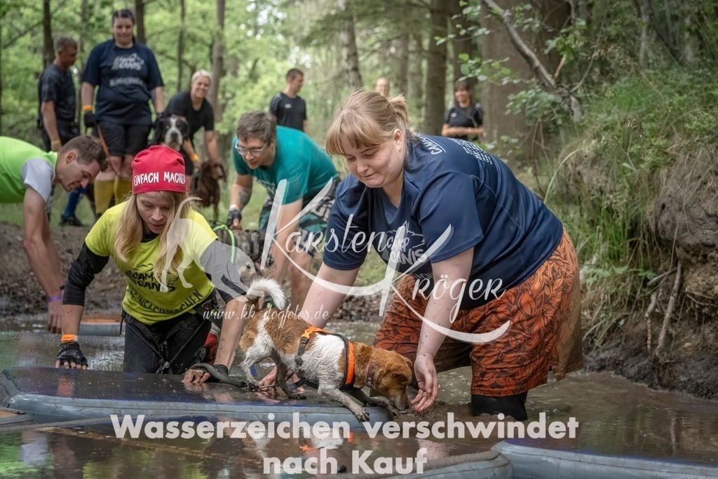 1207_ZZ97041T | kk-dogfotos