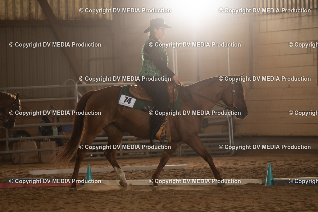 NID02583 | dv-media-shop - Realisiert mit Pictrs.com