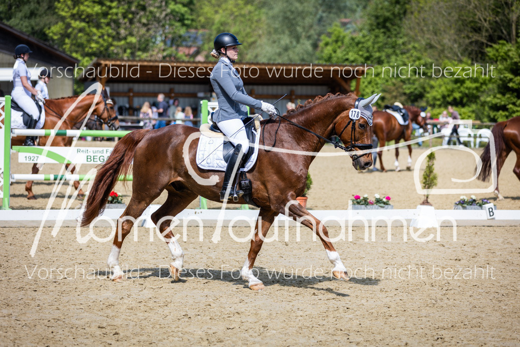 Donop24-L-Dre-038 | MomenTaufnahmen Pferdesportfotos