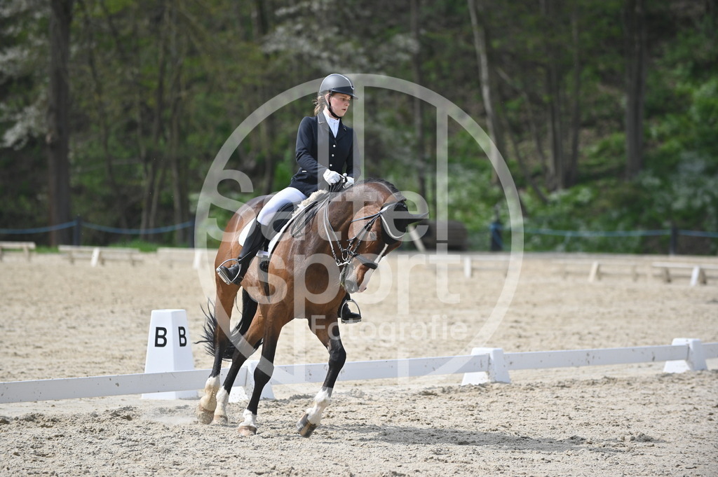 DSC_4162 | sattelsport - Realisiert mit Pictrs.com