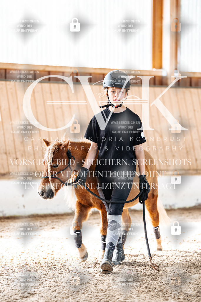 CK905243 | Turnierfotografie Pferdefotografie Trier Rheinland-Pfalz Pferdesport Reitsport Tierfotografie Sportfotografie Pferdevideo Pferdevideografie Equestrianvideography equestrianphotography  - Realisiert mit Pictrs.com