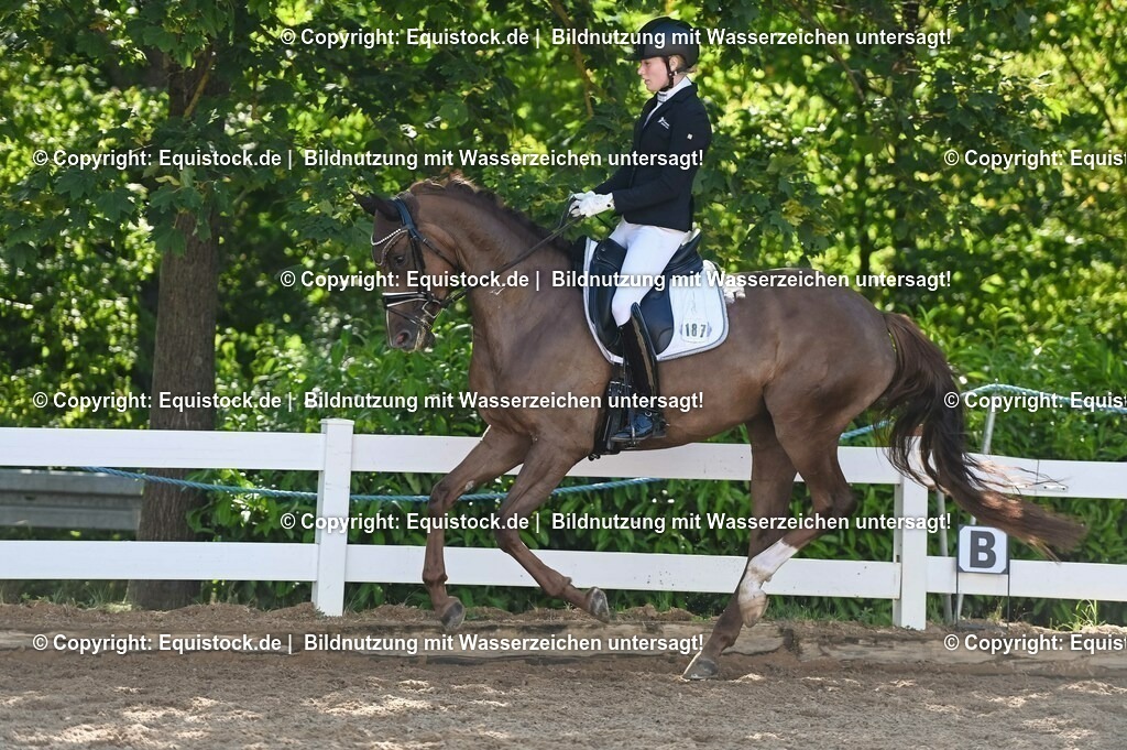 20230715_06_Dressurpferdeprfg. Kl.A_0438 | equistock
