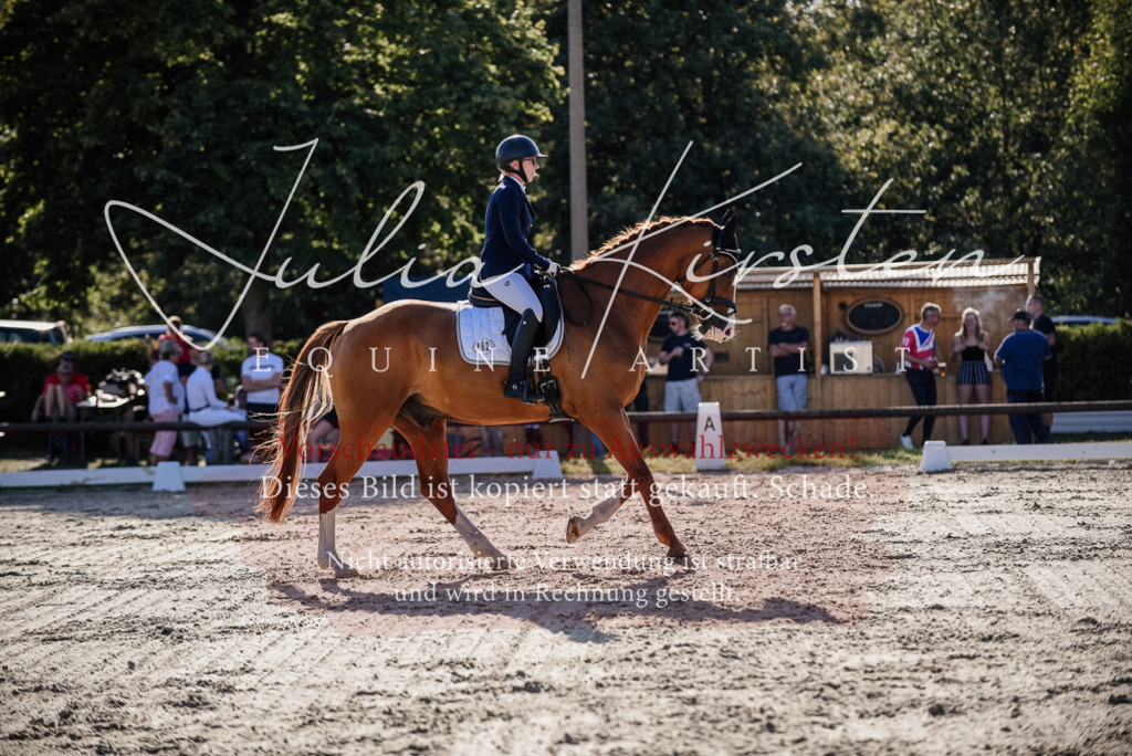 DSC_0494 | Pferde- und Turnierfotografie in Westsachsen. Pferdeportraits, Auftragszeichnungen und intuitive Kunst.