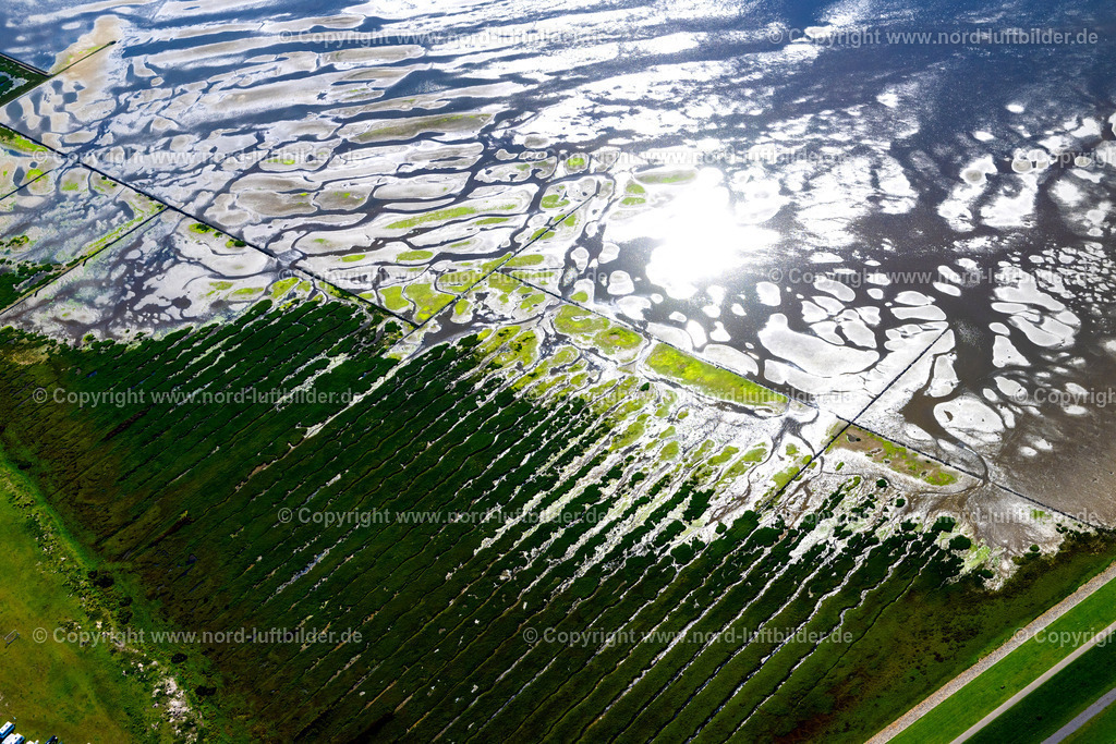 Norderney_Seegraswiesen_ELS_6914050923 | NORDERNEY 05.09.2023 Grasflächen- Strukturen einer Salzwiesen- Landschaft auf der Südseite der Insel Norderney im Bundesland Niedersachsen, Deutschland. // Grassland structures of a salt marsh landscape on the south side of the island of Norderney in the state of Lower Saxony, Germanyy. Foto: Martin Elsen