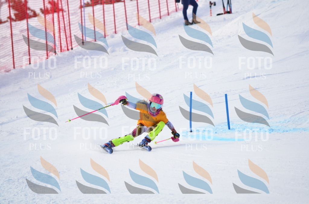 C7877 | holidayphoto