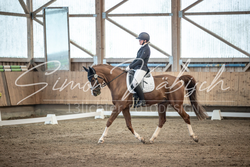 20251011-_3LI6141 | Tierfotografie Pferde, Hunde, Katzen, Haustiere.
Turnierfotografie Reitturniere, Reiten, Springreiten, Dressur in Hanau, dem Main-Kinzig-Kreis und dem Rhein-Main- Gebiet um Frankfurt