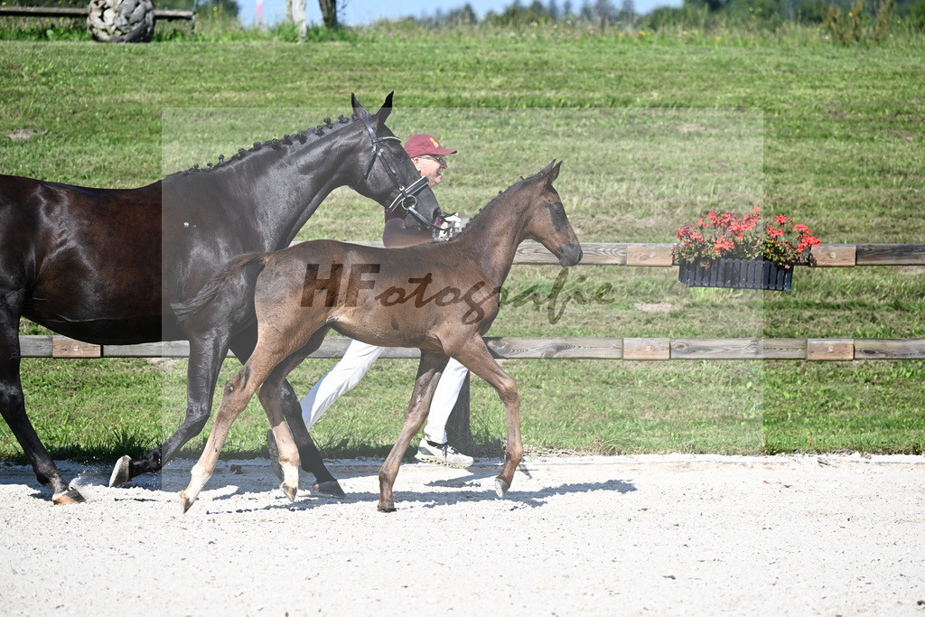 Kat-Nr. 4 Ironman Black M x De Niro_HF_Lechl_24250044 | hf-fotografie - Realizzato con Pictrs.com
