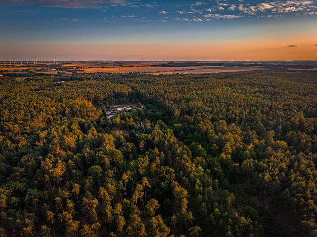 2026-07-10_20-43-08_000 | Blick über weiten Wald und Felder, unter dramatischem Sonnenuntergangshimmel, Teltow-Fläming, Brandenburg, Deutschland - Realisiert mit Pictrs.com