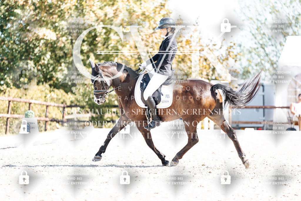 CK909469 | Turnierfotografie Pferdefotografie Trier Rheinland-Pfalz Pferdesport Reitsport Tierfotografie Sportfotografie Pferdevideo Pferdevideografie Equestrianvideography equestrianphotography  - Realisiert mit Pictrs.com