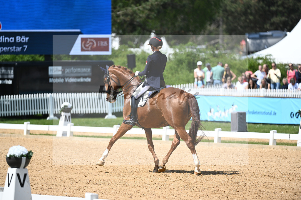 Baer_Superstar_12243713 | hf-fotografie - Realisiert mit Pictrs.com