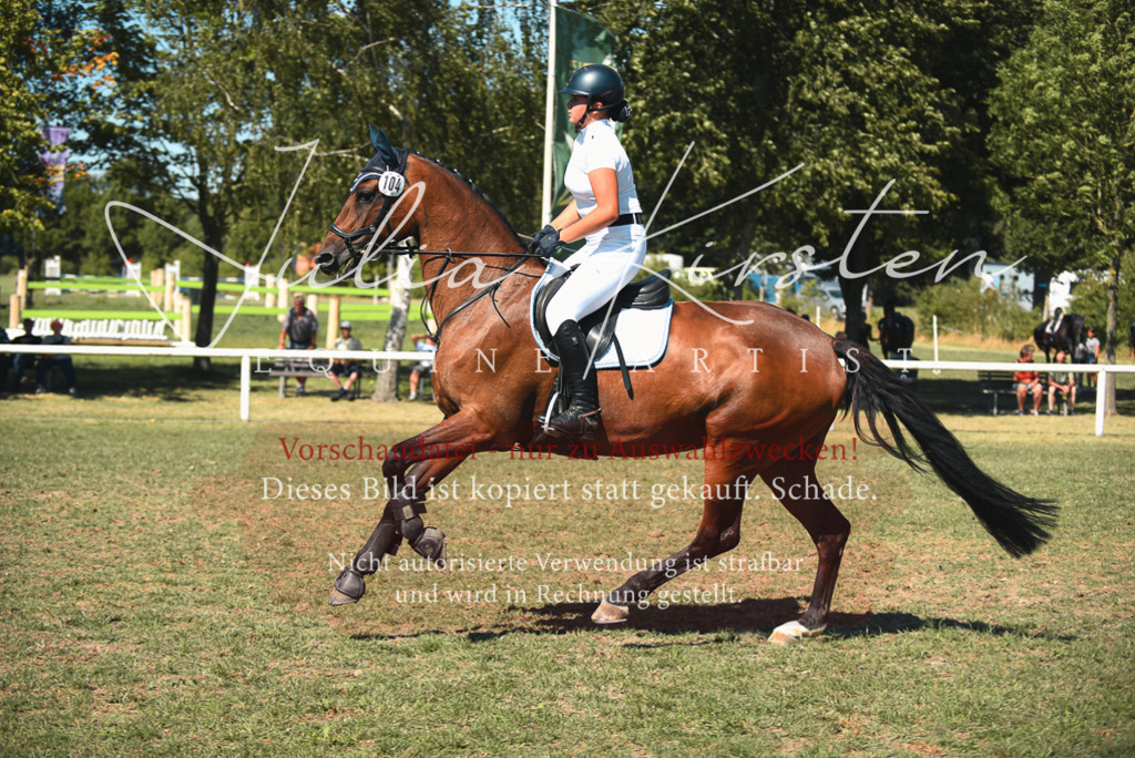 DSC_7239 | Pferde- und Turnierfotografie in Westsachsen. Pferdeportraits, Auftragszeichnungen und intuitive Kunst.