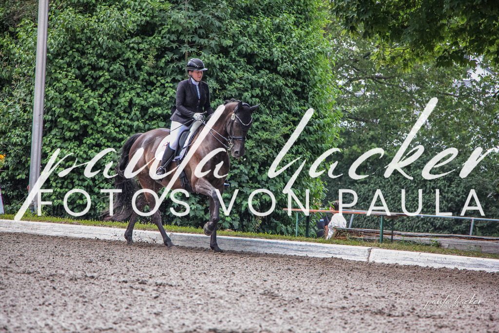 IMG_8835 | Erleben Sie dynamische Sport- und emotionale Tierfotografie in Süddeutschland mit Fotos von Paula. Spezialisiert auf Pferde- und Hundefotografie sowie Sportevents. Kontaktieren Sie mich für einzigartige und ausdrucksstarke Bilder Ihrer besonderen Momente. - Realisiert mit Pictrs.com