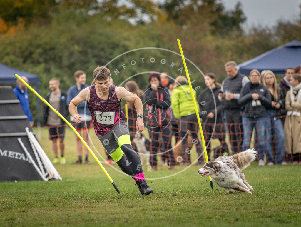 Pfotenfotografie_DV3A0222 | Hundefotografie, Tierfotograf, Pfotenfotografie, Fotoshooting Hund, Hunde Portrait, Hundesport, Hundeportraits, Heideshooting, Hunde, Sportfotograf, Hundefotograf, Turnierhundsport, THS,  - Realisiert mit Pictrs.com
