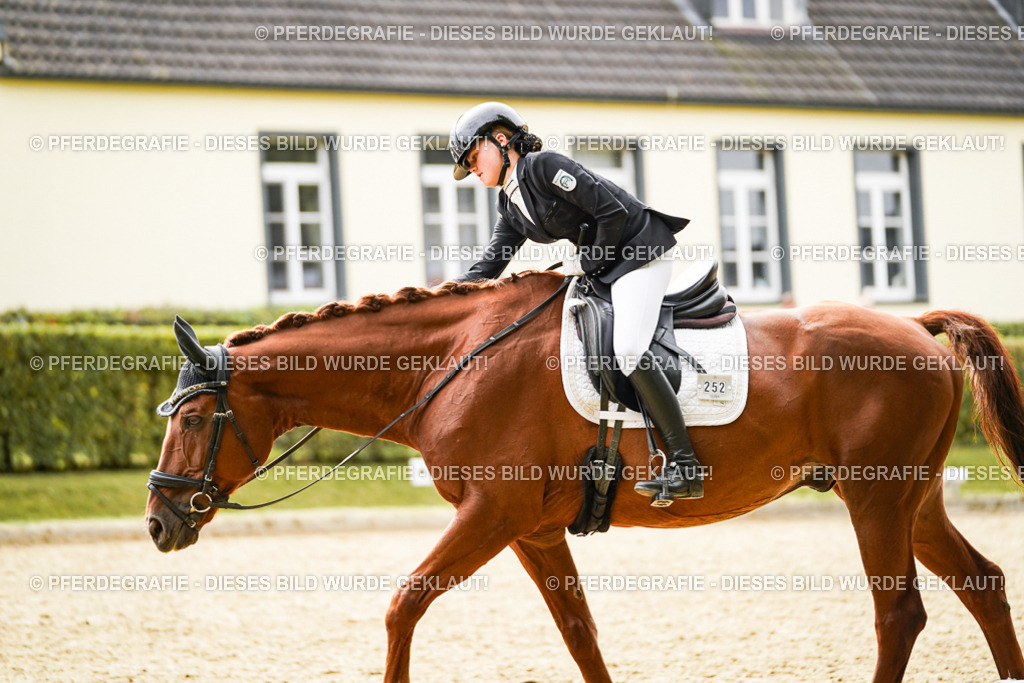 DSC01934 | Pferdegrafie