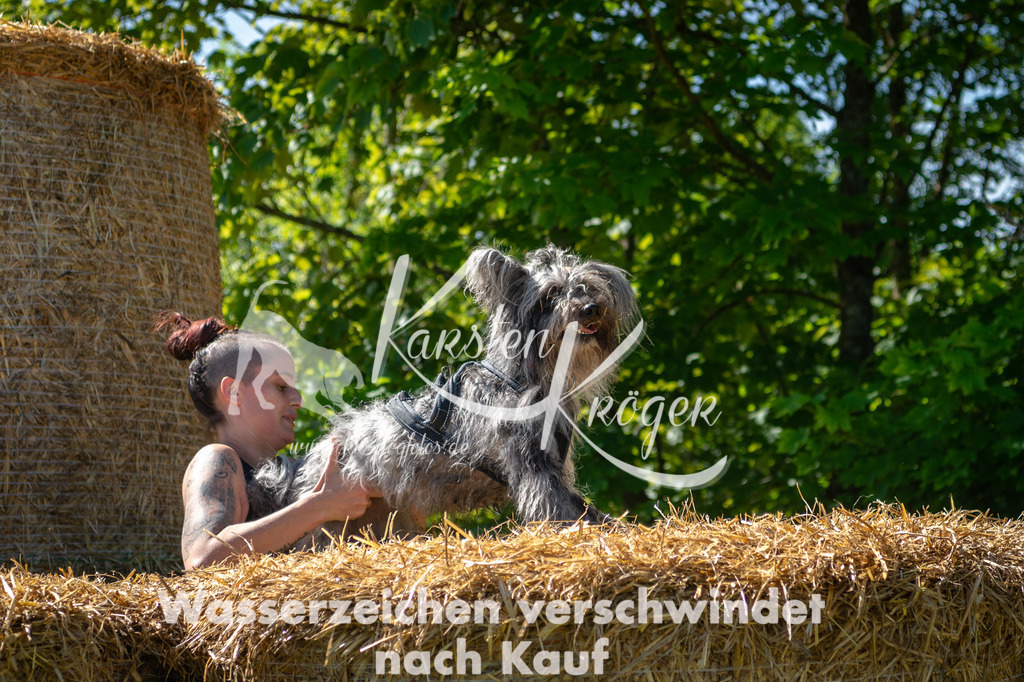 1021STR_5384 | kk-dogfotos