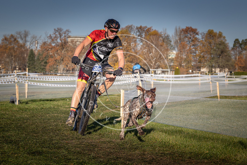CaniXpix_0L8A4479 | Hundefotografie, Tierfotograf, Pfotenfotografie, Fotoshooting Hund, Hunde Portrait, Hundesport, Hundeportraits, Heideshooting, Hunde, Sportfotograf, Hundefotograf, Turnierhundsport, THS,  - Realisiert mit Pictrs.com