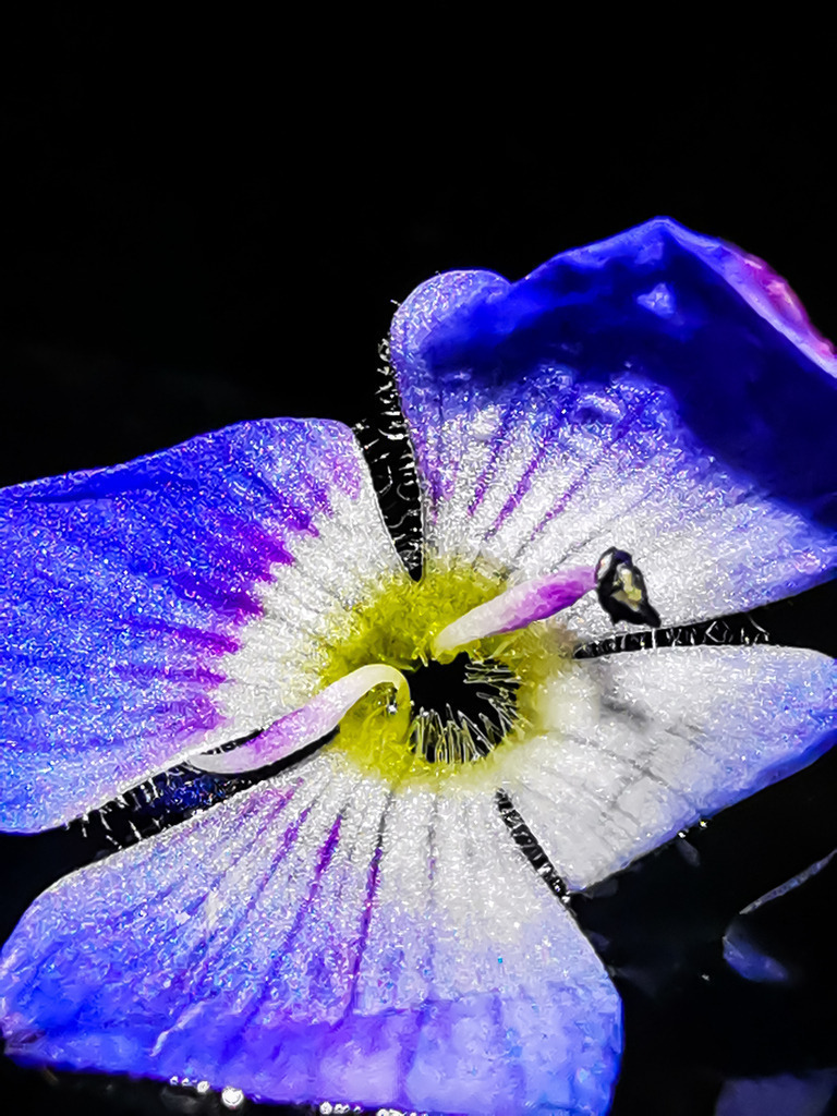 PSX_20230313_224912 | mtkfoto_ - Realisiert mit Pictrs.com