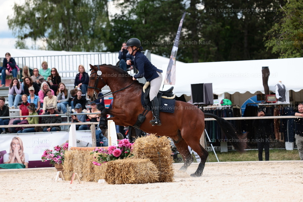 PI26_ST_StoibphotographyC2_L8701.JPG | working equitationturnier fotograf videograf stoibphotography marixx film working equitation deutschland reitsport turnierfotografie eventfotografie equestrian events