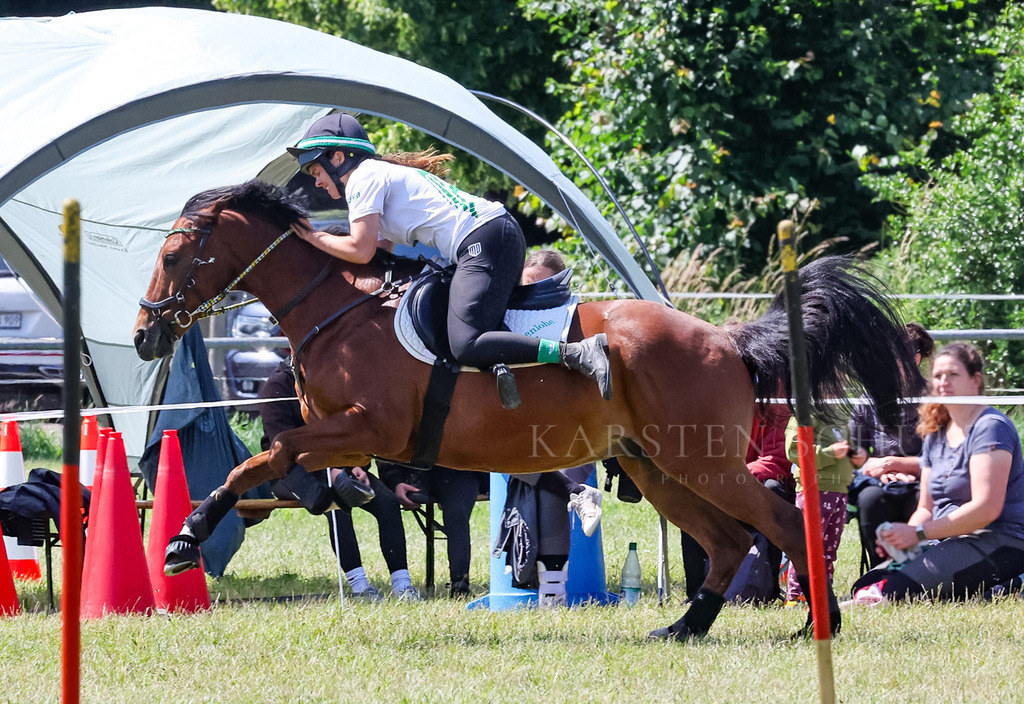 IMG_1612 | Reitsport Reiten