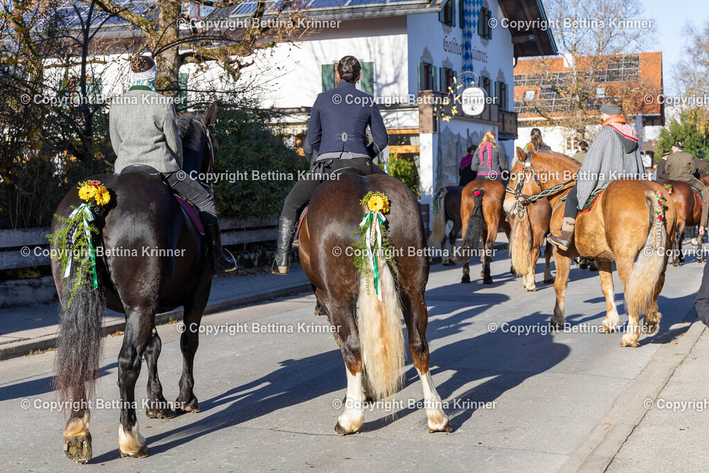 LL24-384 | foto-bettina-krinner - Realisiert mit Pictrs.com