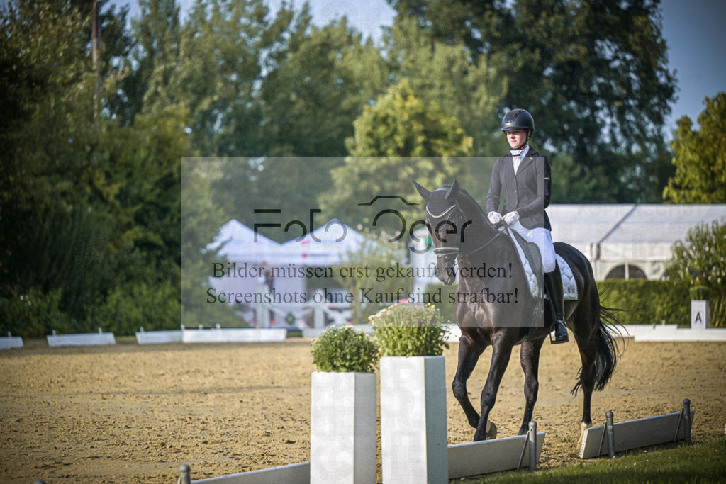 DOS_0925 | Entdecke hochwertige Reitturnierfotos von Foto Oger. Professionell, emotional und authentisch – jetzt Lieblingsmomente im Shop bestellen.Deutschlandweite Turnierfotografie. - Realisiert mit Pictrs.com