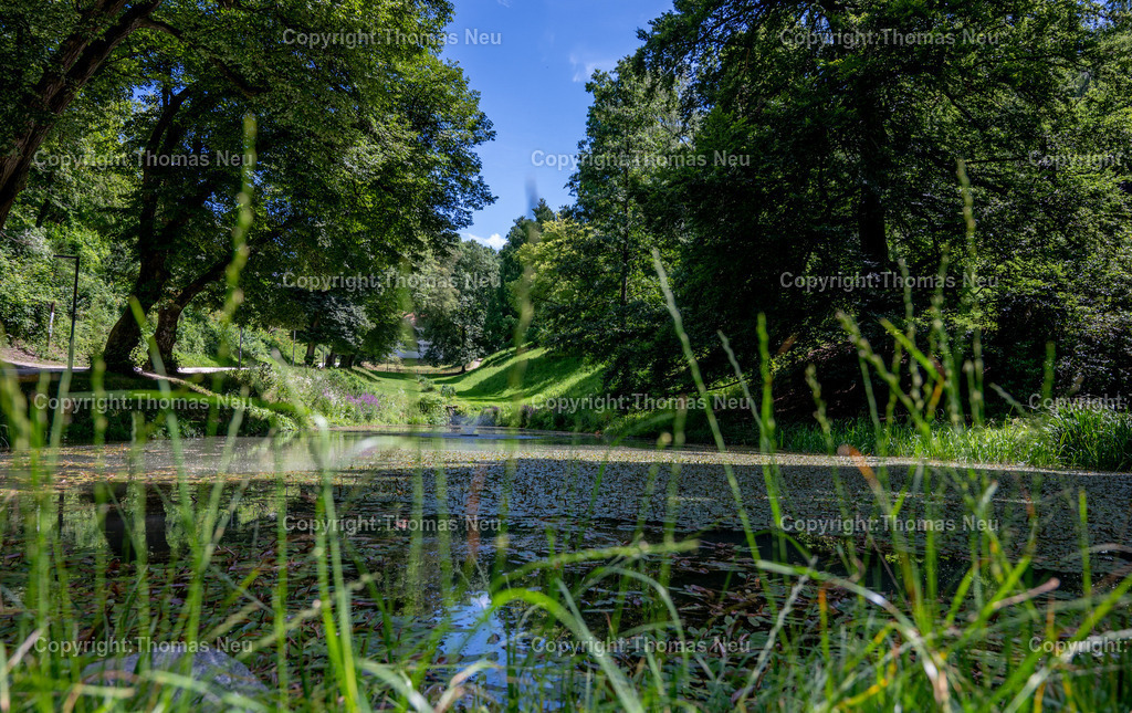 DSC_1880 | Der Staatspark Fürstenlager in Bensheim Auerbach, an der hessischen Bergstraße- ist ein wunderschöner Landschaftspark nach englischen Vorbild. Es war die Sommerresidenz der Darmstädter Fürstenfamilie die hier das "einfache Landleben" genossen. Zu jeder Jahreszeit kann man das Fürstenlager als Ausflugsziel empfehlen. Im Herrenhaus ist eine Gastronomie untergebracht. Im Sommer findet auf der Bühne vor der großen Wiese ein Opern-Air statt, 