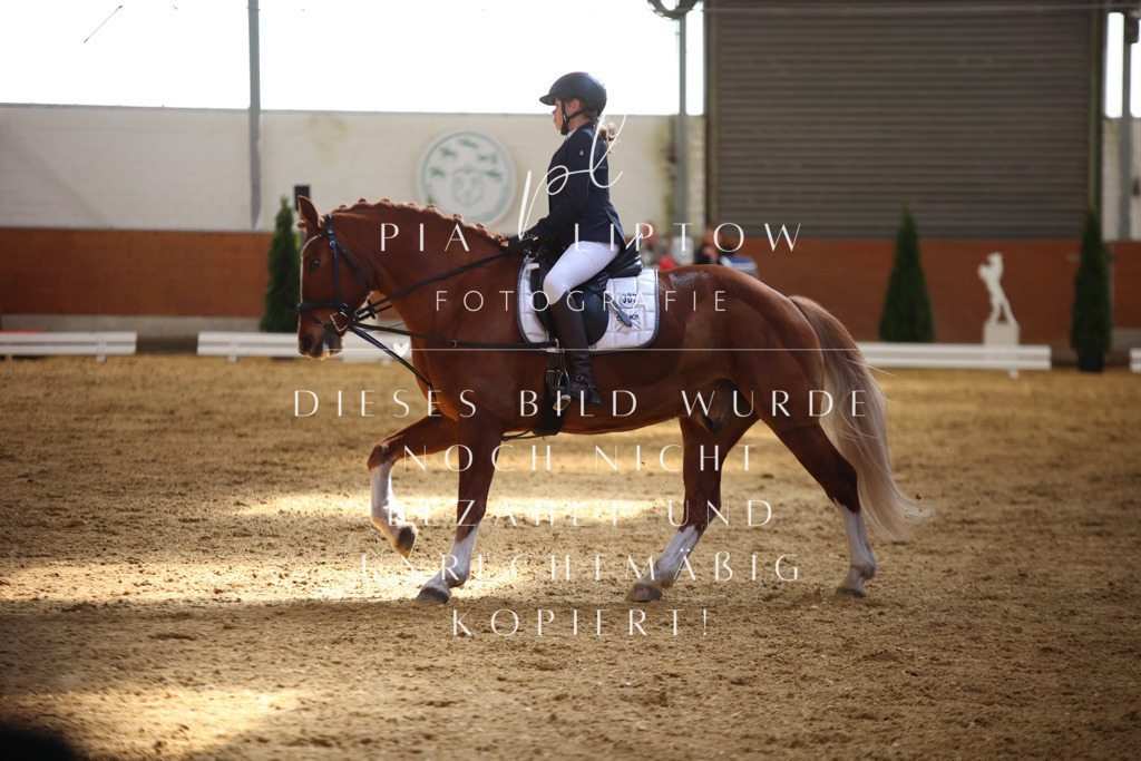 IMGT0711 | pl-fotografie