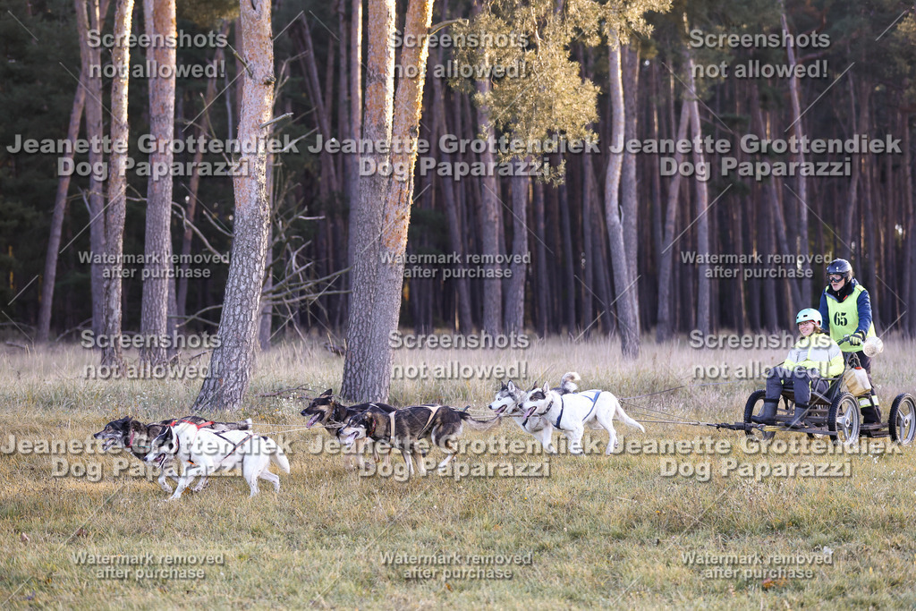 Dog Paparazzi - Elsholz 25 -28 | Dog Paparazzi Jeanette Grottendiek Fotografie & Videografie - Realisiert mit Pictrs.com