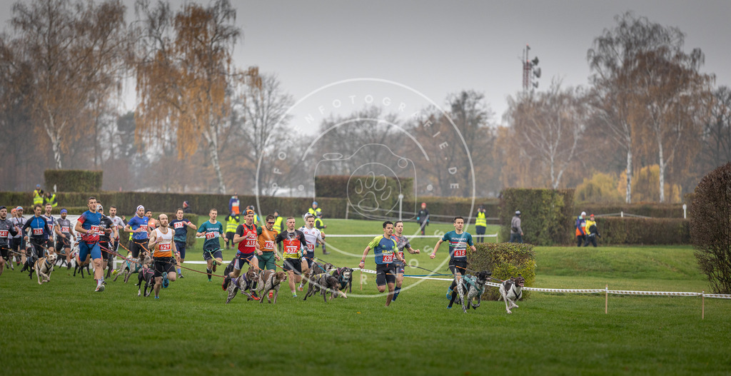 CaniXpix_DV3A9423 | Hundefotografie, Tierfotograf, Pfotenfotografie, Fotoshooting Hund, Hunde Portrait, Hundesport, Hundeportraits, Heideshooting, Hunde, Sportfotograf, Hundefotograf, Turnierhundsport, THS,  - Realisiert mit Pictrs.com
