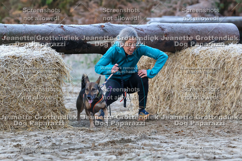 Dog Paparazzi - Strongdog 10-25-201 | Dog Paparazzi Jeanette Grottendiek Fotografie & Videografie - Realisiert mit Pictrs.com