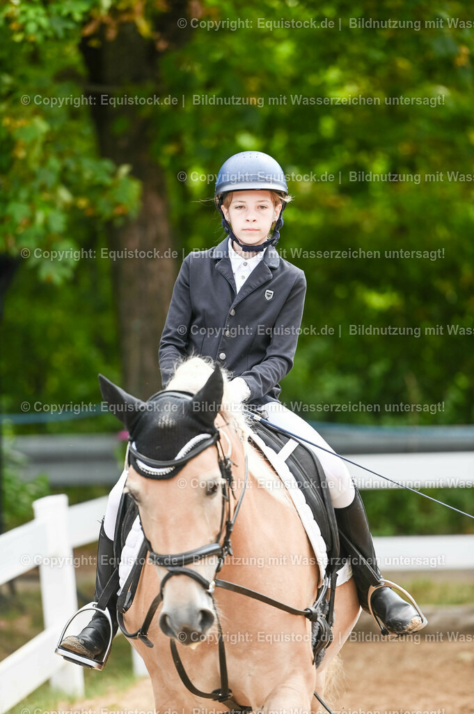 20230716_10-2_Reiter-WB Schritt - Trab - Galopp_0013 | equistock