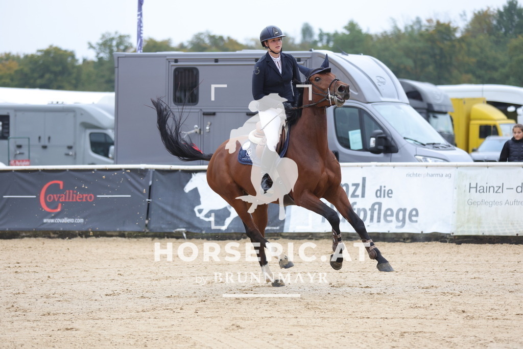 0P6A6762 | Willkommen bei Brunnmayr - Design & Fotografie – Ihrem Spezialisten für Reitturniere und Pferdeveranstaltungen in Oberösterreich, Salzburg und Bayern! Seit über 17 Jahren sind wir leidenschaftlich dabei.