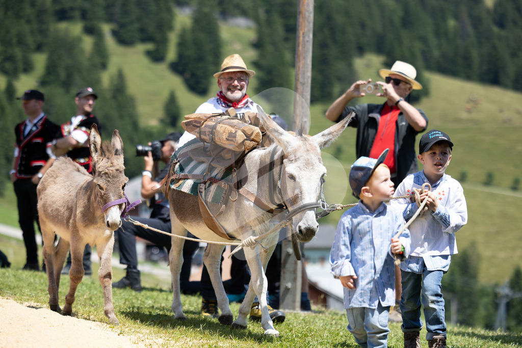 Rigi2025_2098 | Die Schwinger des Schwyzer Kantonalen Schwingerverbandes: Fotos, die Dynamik und Leidenschaft festhalten, sowie emotionale Momente aus dem traditionellen Schwingsport zeigen. - Realisiert mit Pictrs.com