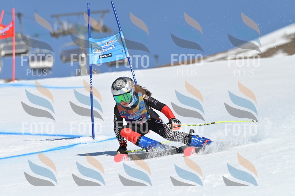 BGV_8445 | holidayphoto