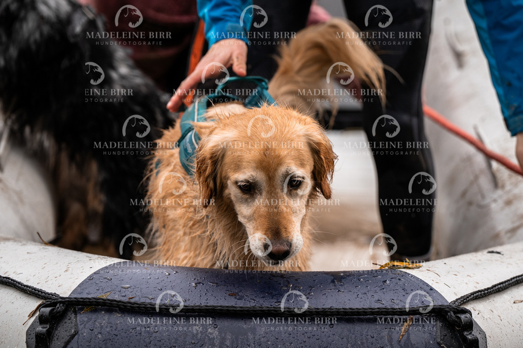 madeleinebirr-fotografie2025.campcanis.9-10Uhr-100 | hundefotografie-birr
