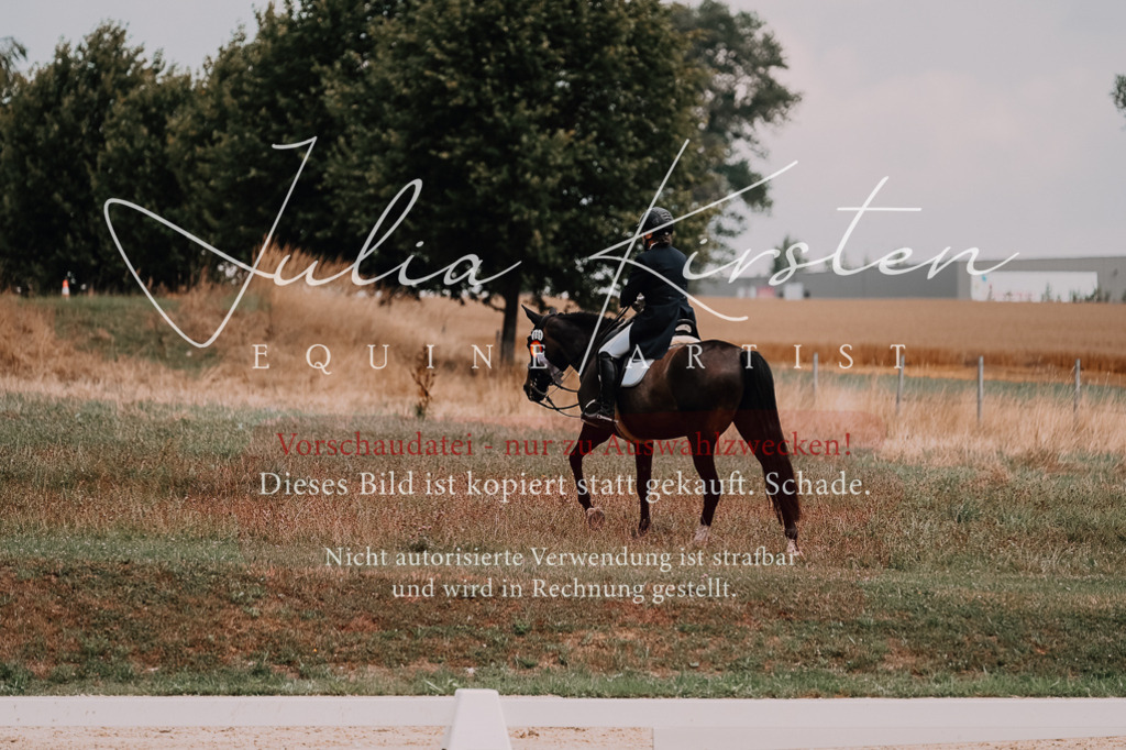 DSC_3714 | Pferde- und Turnierfotografie in Westsachsen. Pferdeportraits, Auftragszeichnungen und intuitive Kunst.