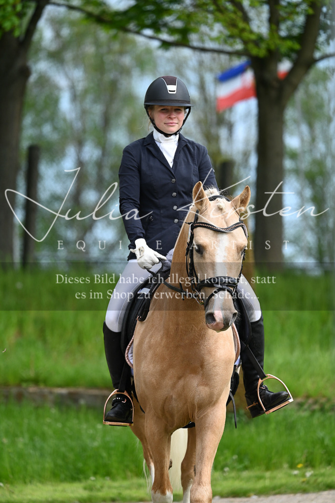 20230512_JK-Röhrsdorf-02-343 | Pferde- und Turnierfotografie in Westsachsen. Pferdeportraits, Auftragszeichnungen und intuitive Kunst.