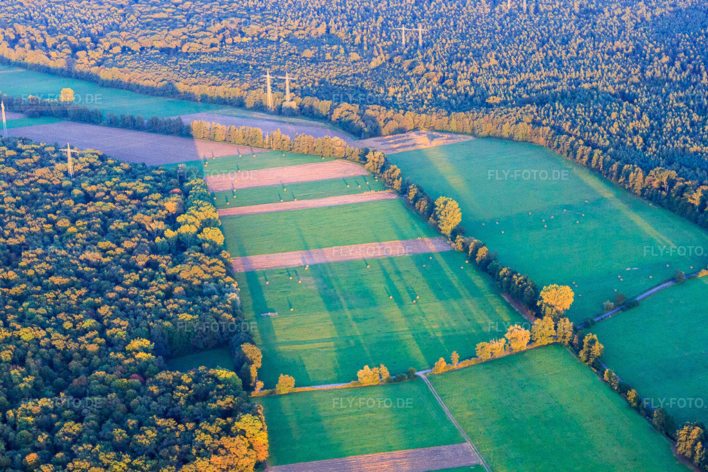 Luftbild: Bruchbach- und Otterbachniederung und Bienwald in Kandel im Bundesland Rheinland-Pfalz in Deutschland. Foto: IMG_53815.jpg vom 30.09.2012 durch Werner Riehm/FLY-FOTO.de