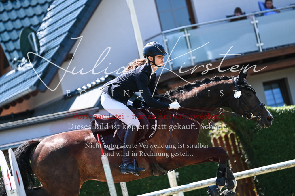 DSC_0453 | Pferde- und Turnierfotografie in Westsachsen. Pferdeportraits, Auftragszeichnungen und intuitive Kunst.