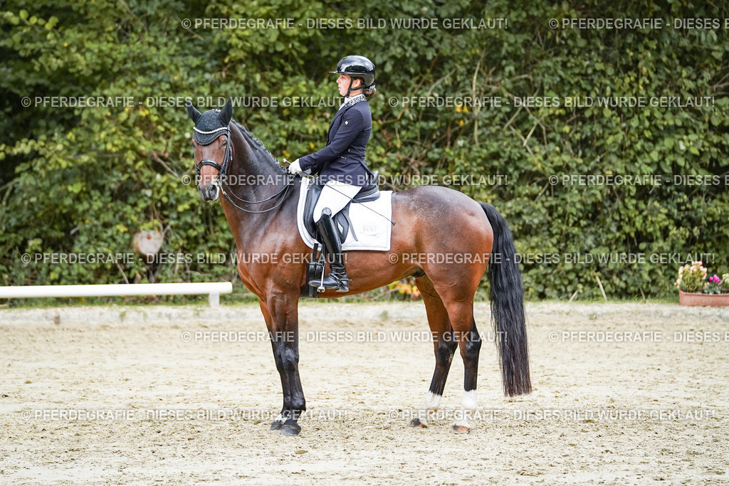 DSC06377 | Pferdegrafie