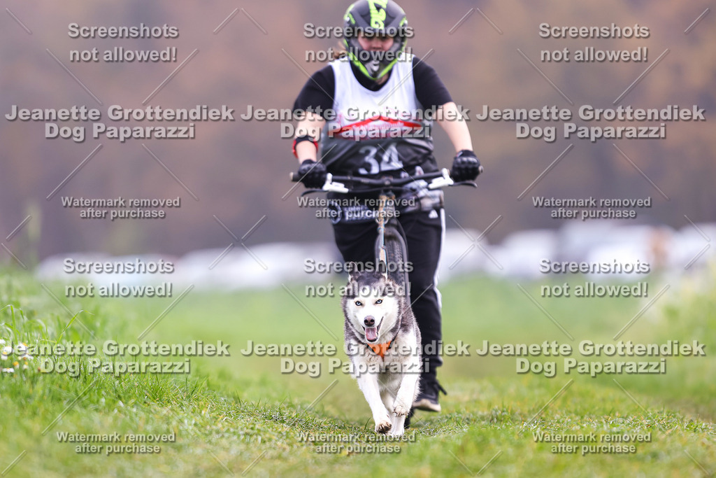 Dog Paparazzi - Visbeck 25 -332 | Dog Paparazzi Jeanette Grottendiek Fotografie & Videografie - Realisiert mit Pictrs.com